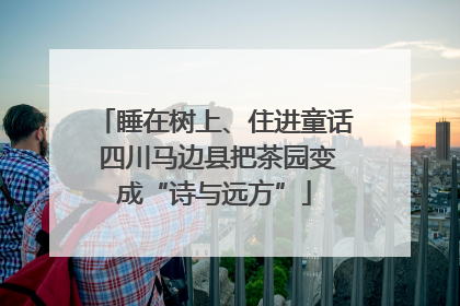 睡在树上、住进童话 四川马边县把茶园变成“诗与远方”