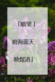 瞭望丨碧海蓝天映煤港