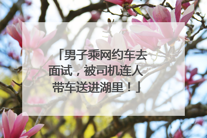 男子乘网约车去面试，被司机连人带车送进湖里！