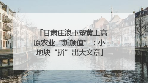 甘肃庄浪重塑黄土高原农业“新颜值”：小地块“拼”出大文章