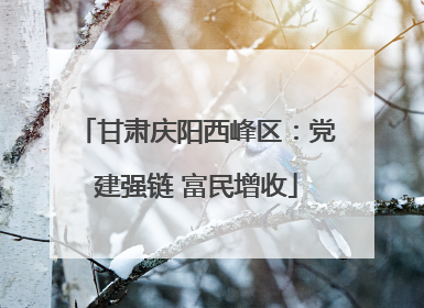 甘肃庆阳西峰区：党建强链 富民增收