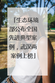 生态环境部公布全国先进典型案例，武汉两案例上榜