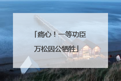 痛心！一等功臣万松因公牺牲