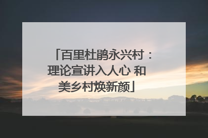 百里杜鹃永兴村：理论宣讲入人心 和美乡村焕新颜