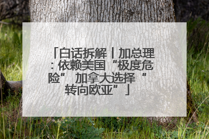 白话拆解丨加总理：依赖美国“极度危险” 加拿大选择“转向欧亚”