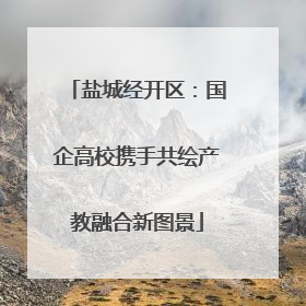盐城经开区：国企高校携手共绘产教融合新图景