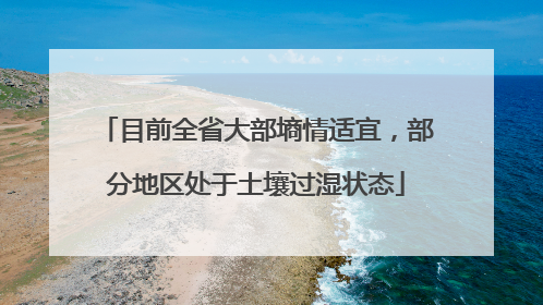 目前全省大部墒情适宜，部分地区处于土壤过湿状态