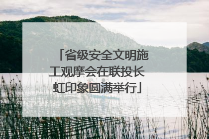 省级安全文明施工观摩会在联投长虹印象圆满举行