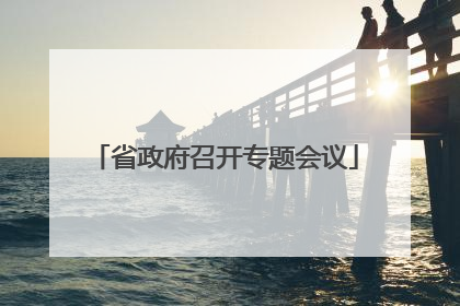 省政府召开专题会议