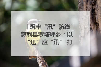 筑牢“汛”防线｜慈利县罗塔坪乡：以“迅”应“汛” 打赢暴雨防御战