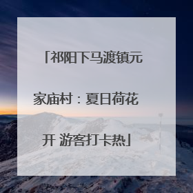祁阳下马渡镇元家庙村：夏日荷花开 游客打卡热