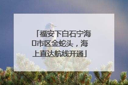 福安下白石宁海⇆市区金蛇头，海上直达航线开通