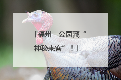 福州一公园藏“神秘来客”！