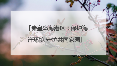 秦皇岛海港区：保护海洋环境 守护共同家园