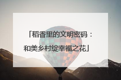 稻香里的文明密码：和美乡村绽幸福之花
