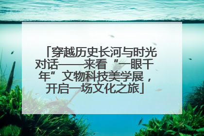 穿越历史长河与时光对话——来看“一眼千年”文物科技美学展，开启一场文化之旅