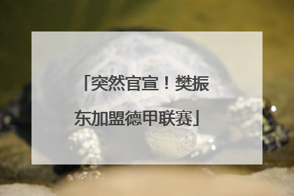 突然官宣！樊振东加盟德甲联赛