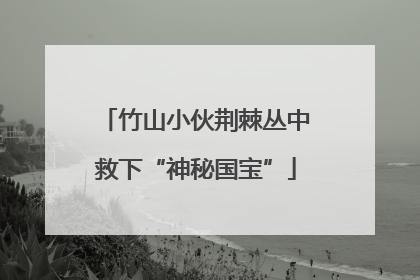 竹山小伙荆棘丛中救下“神秘国宝”