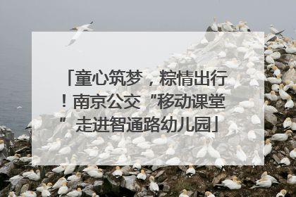 童心筑梦，粽情出行！南京公交“移动课堂”走进智通路幼儿园