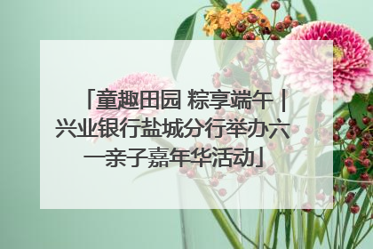 童趣田园 粽享端午｜兴业银行盐城分行举办六一亲子嘉年华活动