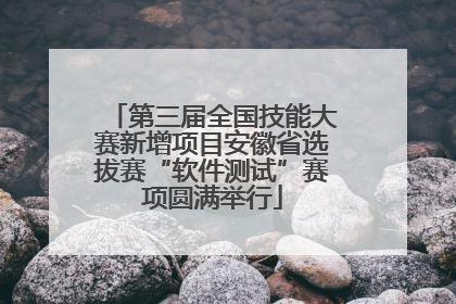 第三届全国技能大赛新增项目安徽省选拔赛“软件测试”赛项圆满举行