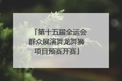 第十五届全运会群众展演舞龙舞狮项目预赛开赛