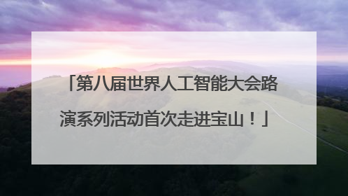 第八届世界人工智能大会路演系列活动首次走进宝山！