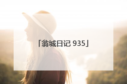翁城日记 935
