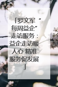 罗文军“每周益企”走访服务：益企走访暖人心 精准服务促发展