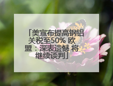 美宣布提高钢铝关税至50% 欧盟：深表遗憾 将继续谈判