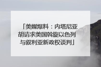 美媒爆料：内塔尼亚胡请求美国斡旋以色列与叙利亚新政权谈判