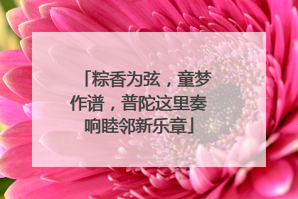 粽香为弦，童梦作谱，普陀这里奏响睦邻新乐章