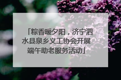粽香暖夕阳，济宁泗水县泉乡义工协会开展端午助老服务活动
