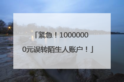 紧急！10000000元误转陌生人账户！