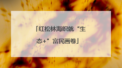 红松林海织就“生态+”富民画卷