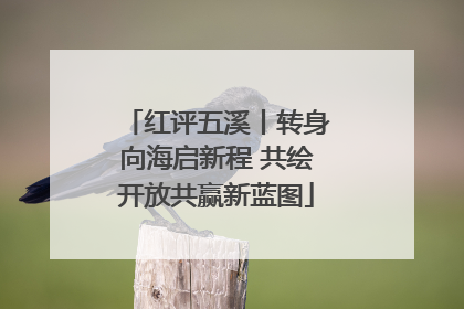红评五溪丨转身向海启新程 共绘开放共赢新蓝图