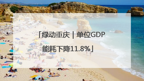 绿动重庆｜单位GDP能耗下降11.8%