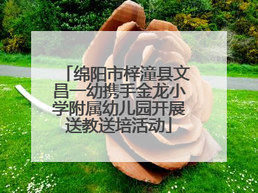 绵阳市梓潼县文昌一幼携手金龙小学附属幼儿园开展送教送培活动