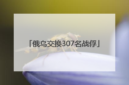 俄乌交换307名战俘
