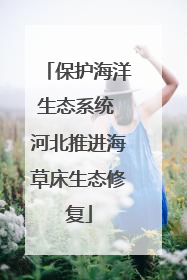 保护海洋生态系统 河北推进海草床生态修复