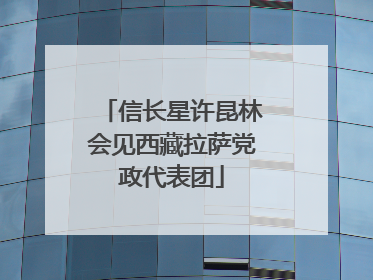 信长星许昆林会见西藏拉萨党政代表团