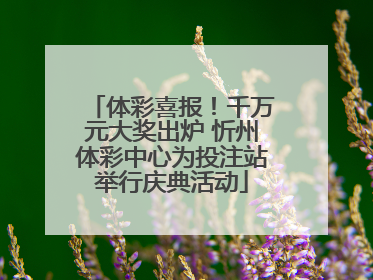 体彩喜报！千万元大奖出炉 忻州体彩中心为投注站举行庆典活动