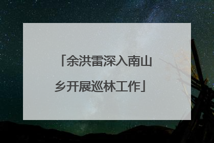 余洪雷深入南山乡开展巡林工作