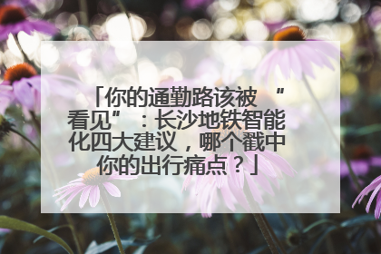 你的通勤路该被 “看见”：长沙地铁智能化四大建议，哪个戳中你的出行痛点？