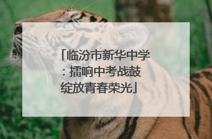 临汾市新华中学：擂响中考战鼓 绽放青春荣光