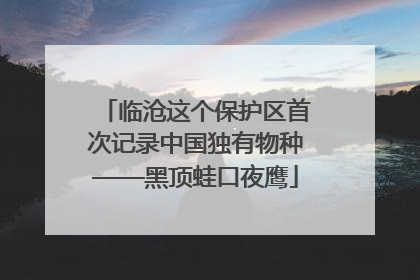 临沧这个保护区首次记录中国独有物种——黑顶蛙口夜鹰