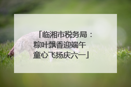 临湘市税务局：粽叶飘香迎端午 童心飞扬庆六一