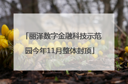 丽泽数字金融科技示范园今年11月整体封顶
