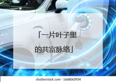 一片叶子里的共富脉络