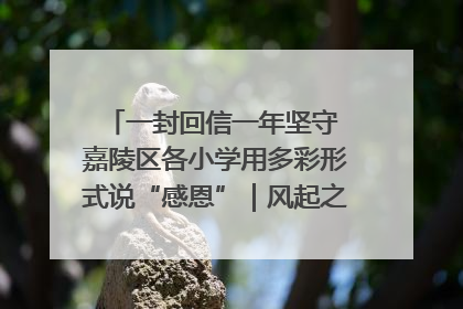 一封回信一年坚守 嘉陵区各小学用多彩形式说“感恩”｜风起之江 扶摇直上